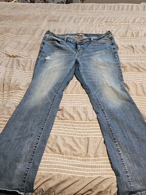 torrid Blue Distressed Flare Jeans